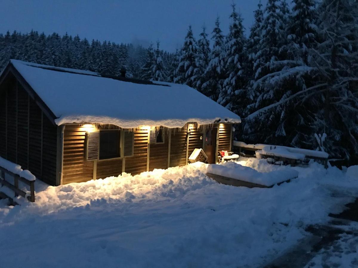Chalet Le Grand Cerf Büllingen Dış mekan fotoğraf