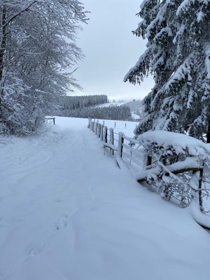 Chalet Le Grand Cerf Büllingen Dış mekan fotoğraf