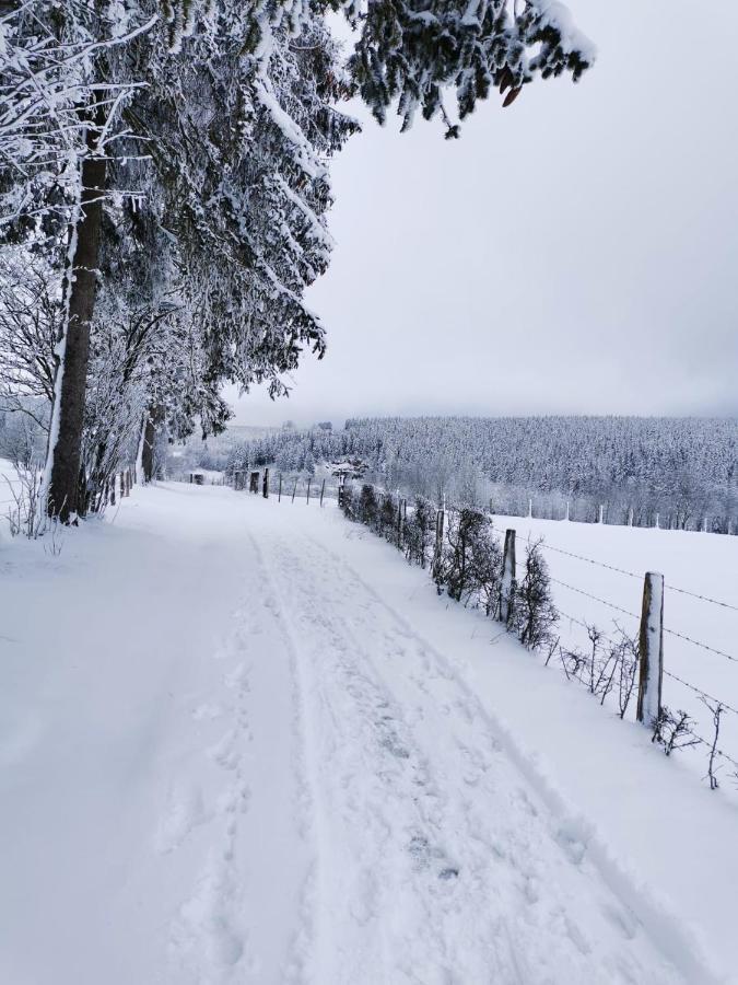 Chalet Le Grand Cerf Büllingen Dış mekan fotoğraf