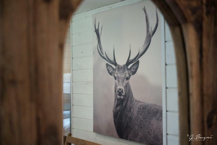 Chalet Le Grand Cerf Büllingen Dış mekan fotoğraf